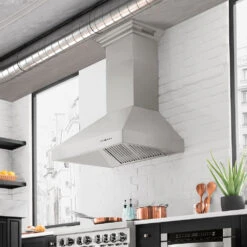 ZLINE 30 In. Professional Convertible Vent Wall Mount Range Hood In Stainless Steel (697-30)(Zline 30 Professional Wall Mount Range Hood Stainless Steel 697 30)