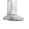 ZLINE 30 In. Convertible Outdoor Wall Mount Range Hood In Outdoor Approved Stainless Steel (667-304-30)(Zline 30 Outdoor Wall Mount Range Hood Outdoor Approved Stainless Steel 667 304 30)