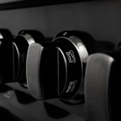 ZLINE 24 In. 2.8 Cu. Ft. Legacy Dual Fuel Range With 4 Burner Gas Cooktop And Electric Convection Oven In Black Stainless Steel (RAB-24)(Zline 24 Legacy Dual Fuel Range Black Stainless Steel Rab 24) 35 ZLINE 24 In. 2.8 Cu. Ft. Legacy Dual Fuel Range With 4 Burner Gas Cooktop And Electric Convection Oven In Black Stainless Steel (RAB-24)(Zline 24 Legacy Dual Fuel Range Black Stainless Steel Rab 24) -Induction Cooktop Store zline professional black stainless steel range RAB 24 detail knobs d853a759 8cdd 4465 8767 b8e2ebdadf3e