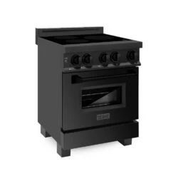 ZLINE 24 In. 2.8 Cu. Ft. Legacy Induction Range With 4 Element Cooktop And Electric Oven In Black Stainless Steel (RAIND-BS-24)(Zline 24 Induction Range Black Stainless Steel Raind Bs 24)