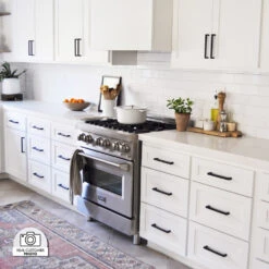 ZLINE 46 In. Ducted Wall Mount Range Hood Insert In Stainless Steel (698-46)(Zline 46 Wall Mount Range Hood Insert Stainless Steel 698 46) -Induction Cooktop Store zline professional range 30 inch RA30 customer photo logo