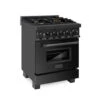 ZLINE 24 In. 2.8 Cu. Ft. Legacy Dual Fuel Range With Gas Cooktop And Electric Convection Oven In Black Stainless Steel With 4 Brass Burners (RAB-BR-24)(Zline 24 Legacy Dual Fuel Range Black Stainless Steel Brass Burners Rab Br 24)