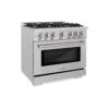 ZLINE 36 In. 5.2 Cu. Ft. Select Dual Fuel Range With 6 Burner Gas Cooktop And Electric Convection Oven In Stainless Steel (HDR36)(Zline 36 Select Dual Fuel Range Stainless Steel Hdr36)